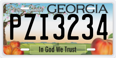 GA license plate PZI3234