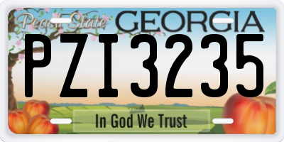 GA license plate PZI3235