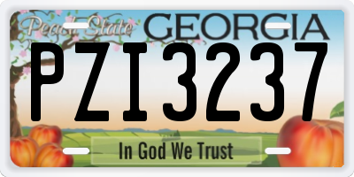 GA license plate PZI3237