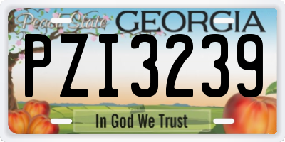 GA license plate PZI3239