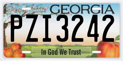 GA license plate PZI3242