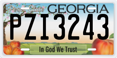 GA license plate PZI3243