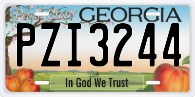 GA license plate PZI3244