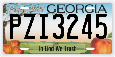 GA license plate PZI3245