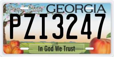GA license plate PZI3247