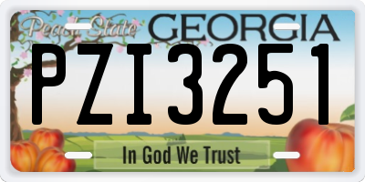 GA license plate PZI3251