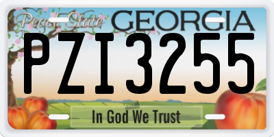 GA license plate PZI3255