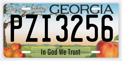 GA license plate PZI3256