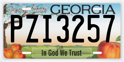 GA license plate PZI3257
