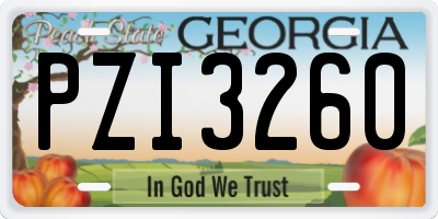 GA license plate PZI3260