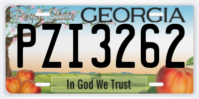 GA license plate PZI3262