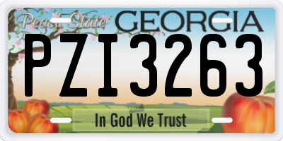 GA license plate PZI3263