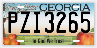 GA license plate PZI3265