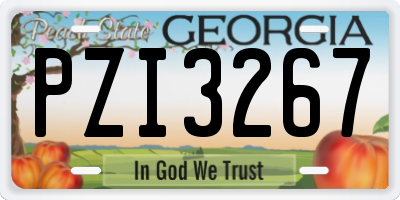 GA license plate PZI3267