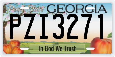 GA license plate PZI3271