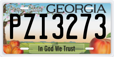 GA license plate PZI3273