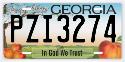 GA license plate PZI3274