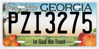 GA license plate PZI3275