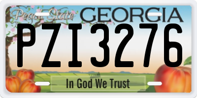 GA license plate PZI3276