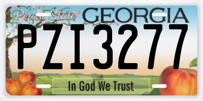 GA license plate PZI3277