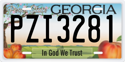 GA license plate PZI3281