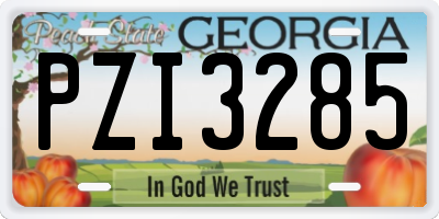 GA license plate PZI3285