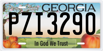 GA license plate PZI3290
