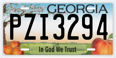 GA license plate PZI3294
