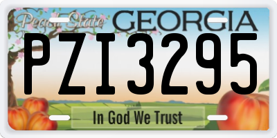 GA license plate PZI3295