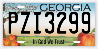 GA license plate PZI3299