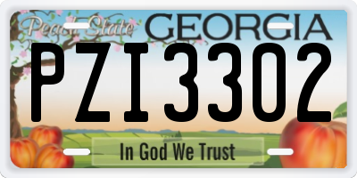 GA license plate PZI3302
