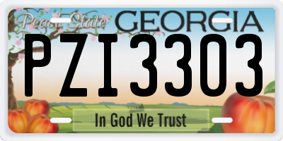 GA license plate PZI3303