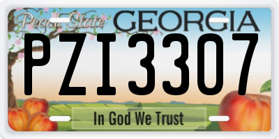 GA license plate PZI3307