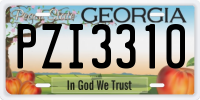 GA license plate PZI3310