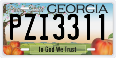 GA license plate PZI3311