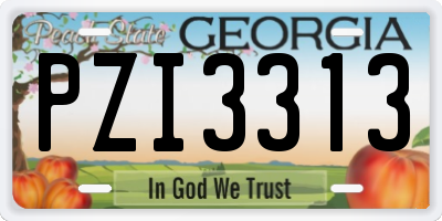 GA license plate PZI3313