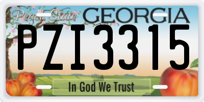 GA license plate PZI3315