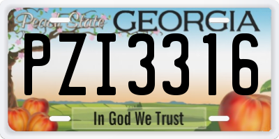 GA license plate PZI3316