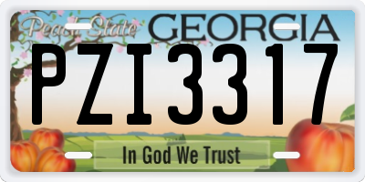 GA license plate PZI3317