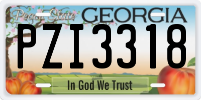 GA license plate PZI3318