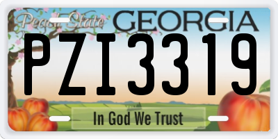 GA license plate PZI3319