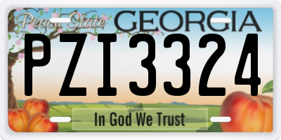 GA license plate PZI3324