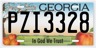 GA license plate PZI3328