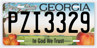 GA license plate PZI3329