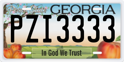 GA license plate PZI3333
