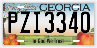 GA license plate PZI3340