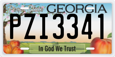 GA license plate PZI3341