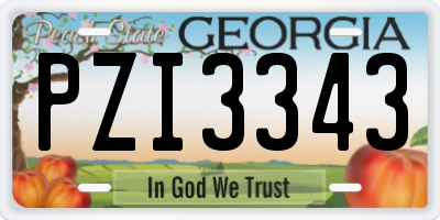 GA license plate PZI3343