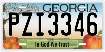 GA license plate PZI3346