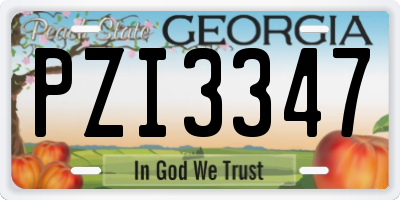 GA license plate PZI3347